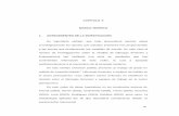 CAPITULO II MARCO TEÓRICO 1. ANTECEDENTES DE LA …virtual.urbe.edu/tesispub/0092027/cap02.pdf · transaccional, descriptivo ... dentro de la modalidad de campo, cuyos aportes concluyen