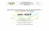 SG-SST - afpetroleo.orgafpetroleo.org/.../uploads/2018/05/Manual-guia-SGSST-AFP.pdf · El SG-SST, se caracteriza por su adaptabilidad al tamaño y características de la empresa,