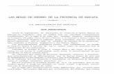 LAS MINAS DE HIERRO DE LA PROVINCIA DE BIZCAYAmeta.gipuzkoakultura.net/bitstream/10690/73422/1/AM_321228.pdf · El Fuero prohibió la extracción para reinos extranjeros de venas