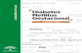ciudadanía Diabetes Mellitus Gestacionalmatronasextremadura.org/wp-content/uploads/2018/06/GUIA-documento... · búsquedas por idioma (inglés y español). Finalmente se seleccionaron