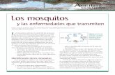 Los mosquitos y las enfermedades que transmiten fileaspectos que los diferencian del resto de las mos-cas: • Antenas largas muy segmentadas • Un aparato bucal alargado, capaz de