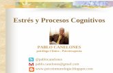 Estrés y Procesos Cognitivos · Estrés y procesos cognitivos Concepto de estrés en un marco psicosocial. Evaluación, afrontamiento y sus modalidades. Locus de control interno