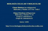 BIOLOGÍA CELULAR Y MOLECULARecaths1.s3.amazonaws.com/biologiacelularymolecular/374957739.1... · Biología molecular del gen. 7º edición. Ed. Médica Panamericana, Buenos Aires.