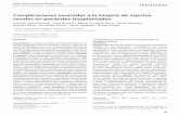 Complicaciones asociadas a la biopsia de injertos renales ...scielo.isciii.es/pdf/nefrologia/v34n1/revision2.pdf · renales en pacientes trasplantados Claudia Tapia-Canelas1, Rosa