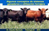 Algunos conceptos de sistemas ganaderos y utilización ... · Desviación de abomaso Gastroenteritis (salmonelosis, coccidiosis, ostertagiasis otros) ... Enteritis . Clasificación