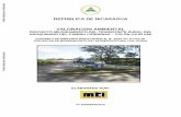REPÚBLICA DE NICARAGUA VALORACION AMBIENTAL · REPÚBLICA DE NICARAGUA VALORACION AMBIENTAL PROYECTO MEJORAMIENTO DEL TRANSPORTE RURAL DEL ADOQUINADO DEL CAMINO CÁRDENAS – COLÓN