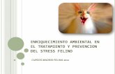 ENRIQUECIMIENTO AMBIENTAL EN EL TRATAMIENTO Y …vetpoblenou.com/blog/.../2013/09/...Y-PREVENCION-DEL-STRESS-FELINO.pdf · EL GATO Y SUS CIRCUNSTANCIAS. El gato doméstico (Felis