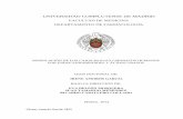 UNIVERSIDAD COMPLUTENSE DE MADRID - labtamargo.com INVESTIGACION/TESIS/Tesis-irene... · UNIVERSIDAD COMPLUTENSE DE MADRID FACULTAD DE MEDICINA ... We first studied the non-mediated