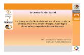 Secretaría de Salud - CICAD · Norma Oficial Mexicana NOM-030-STPS-2009, Servicios preventivos de seguridad y salud en el trabajo-Funciones y actividades ... Manual de Orientaciones