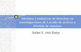 Rafael E. Vela Barba - mpfn.gob.pe · Medidas Limitativas de derechos en investigaciones de Lavado de activos y Pérdida de dominio . ... La segunda regla fija que el afectado también