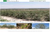 Recomendaciones varietales de olivo en La Rioja, Navarra y ... de variedades... · La propiedad intelectual de esté artículo pertenece a VIVEROS PROVEDO, S.A.- Bº DE VAREA, 26006,
