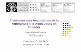 Problemas mas importantes de la Agricultura y la ...blog.espol.edu.ec/laurence/files/2008/12/2-presentacion-fao1.pdf · disminución de las reservas de alimentos; y, ... mismo el
