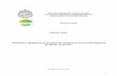 Informe Final. Mitigación de la Huella de Carbono en la ...portal.mma.gob.cl/wp-content/uploads/2017/12/recurso_11.pdf · reducción de emisiones y de compensación que se decidan