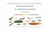 CUADERNILLO DE ACTIVIDADES BIOLOGÍA Y GEOLOGÍAies-profesoremiliolledo.centros.castillalamancha.es/sites/ies-prof... · -Otro tipo de rocas sedimentarias no detríticas se ... ¿Cuáles