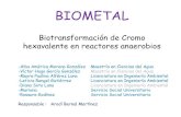 Biotransformación de Cromo hexavalente en reactores ... · Biotransformación de Cromo ... Porcentajes de reducción del metal con las diferentes FCA sin combinar . ... ciclo= 10±