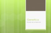 Estudio de la Herencia - Blog de Biologia General MSc ... · estudia las leyes de la herencia. ... Genes: unidades biologicas de herencia ... ocupa un gen dentro del cromosoma. ADN