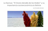 La Quinua: “El Grano dorado de los Andes” y su importancia ... Andinos... · importancia socioeconómica ... desde la parte norte de Ecuador hasta la parte ... diferentes foros