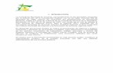 1. INTRODUCCIÓN - contraloriarmenia.gov.co1).pdf · diciembre de 1996, artículo 43, instructivo del Departamento de ... fondos, agencias de nivel nacionales e ... descontados los