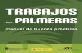 ÍNDICE - GMR Canarias | GMR CANARIAS. Gestión del Medio … · 2017-12-04 · Las palmeras pueden tener pies machos y pies hembras - como Phoenix cana-riensis - o pueden tener los