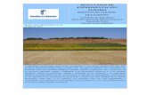 RESULTADOS DE EXPERIMENTACIÓN AGRARIA - Inicio · de los agricultores en el proceso de generación y reparto del valor añadido de la cadena ... variedades comerciales de girasol