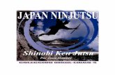 LIBRO NINJA 4 PDF - japanninjutsu.comjapanninjutsu.com/pdf/jnf-libro-4-shinobi-ken-jutsu.pdf · desarrollo de los Cinco Elementos que componen la estrategia del ... Entrenen hoy como
