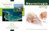 Neurocirugía Julio de 2013 Ixtapa Vol. 3 Numero 10 Año 3 ... · TRATAMIENTO – GENERALIDADES El objetivo del tratamiento de las MAVs medulares es el diagnóstico precoz, antes