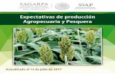 Expectativas de producción Agropecuaria y Pesqueras3.amazonaws.com/inforural.com.mx/wp-content/uploads/2017/08/...La producción nacional agropecuaria y pesquera esperada para 2017