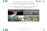 Estrategia Regional de Diversidad Biológica (ERDB) Puno · Convención sobre el comercio internacional de especies amenazadas de fauna y flora ... DS - 043 - 2006 – AG. Categorízación