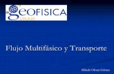 Flujo MultifFlujo Multifáásico y Transportesico y Transportemmc2.geofisica.unam.mx/cursos/tfs/TFSPresentaciones/Presentacion33... · Con estos conceptos de permeabilidad relativa