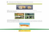 IGP Queso de Los Beyos - alimentación.es Queso Los Beyos_tcm8-10071.pdf · Sajambre, en el valle de Sajambre situado en el curso alto del río Sella, en la provincia de León de