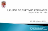 CURSO DE CULTIVOS CELULARES - servicios.unileon.esservicios.unileon.es/.../files/2014/02/Presentación-del-Curso.pdf · recordatorio de lo visto en el curso anterior introducciÓn