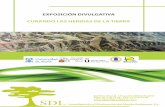 EXPOSICIÓN DIVULGATIVA CURANDO LAS HERIDAS DE LA … · Un olivar de diseño para compensar emisiones 11. Control biológico del topillo campesino en Castilla y León 12. Restauracion