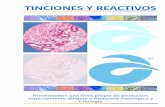 TINCIONES Y REACTIVOS - Casa Álvarezcasaalvarez.com/Descargar/Reactivos-Colorantes-y-Kits-de-tincion... · Visualización de fibras elásticas, tejido conjuntivo fibroso (colágeno)