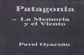 PavelOyarzun - sergiomansilla.comsergiomansilla.com/revista/descargar/pavel_oyarz_n__patagonia.pdf · con los ojos en la sombra, esperando su turno para caer en la cuenta, ya inmóviles,