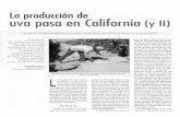 La producción de uva pasa en California (y II) - oa.upm.esoa.upm.es/6309/1/Valero_47.pdf · La producción de uva pasa en California (y II) Las últimas tendencias apuntan a una