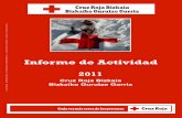 Cruz Roja Bizkaia Bizkaiko Gurutze Gorria · inmigrantes, de las personas sin hogar, de los más mayores, de quien sufra un accidente de circulación, ... las capacidades y competencias