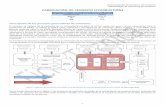 FABRICACIÓN DE CEMENTO (COMBUSTIÓN) - mapama.gob.es · Descripción de los procesos generadores de emisiones ... incluye también en la metodología empleada para la estimación