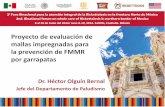Presentación de PowerPoint - gob.mx · Proyecto de evaluación de mallas impregnadas para la prevención de FMMR por garrapatas Dr. Héctor Olguín Bernal Jefe del Departamento de
