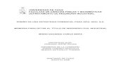 DISEÑO DE UNA ESTRATEGIA COMERCIAL PARA AZUL …repositorio.uchile.cl/tesis/uchile/2008/conca_mb/sources/conca_mb.pdf · 2 DISEÑO DE UNA ESTRATEGIA COMERCIAL PARA AZUL AZUL S.A.