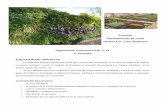 Ajardinamiento de zonas verdes I.E.S. Lomo Apolinario ... · un huerto ecológico usando el método de” Parades en Crestall” desarrollado por Gaspar Caballero en la Zona 2, ...