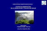 CAUDALES AMBIENTALES: EN LA LEGISLACION Y POLITICA … cal fc .pdf · Colombia Caudal Ambiental . ... establecer un caudal ecológico mínimo, el cual sólo afectará a los nuevos