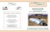 manual práctico para la producción de gas naturalservices.sistelligent.com/ProyectosWeb/ProduceChiapas/Contenido/... · producción de gas metano como energético renovable, ...