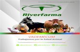 Riverfarma · Para obtener mayor información visita: ... Salicilato de metilo-Piroxicam-Alcanfor Antiin˚amatorio, analgésico, rubefaciente, antiprurítico y antiséptico local