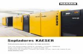 Sopladores KAESER - kaeser.com.co · bricación de compresores y sopladores de lóbulo rotativo. ... buscar el convertidor de frecuencia adecuado, programar y realizar el cableado