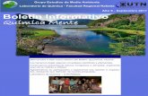 Grupo Estudios de Medio Ambiente Laboratorio de Química ...web.frra.utn.edu.ar/archivos/boletines/QuimicaSeptiembre2017.pdf · Desarrollan drones de bambú en la UNT para distintos