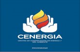 CENTRO DE CONSERVACION DE ENERGIA Y DEL AMBIENTE · la conservación del ambiente y el desarrollo de las energías nuevas y renovables. ... - Estudios de alternativas de suministro
