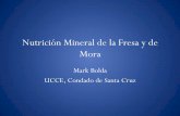 Nutrición Mineral de la Fresa y de Mora - Santa Cruz Countycesantacruz.ucanr.edu/files/182263.pdf · Nutrición Mineral de la Fresa y de Mora . Mark Bolda . UCCE, Condado de Santa