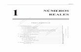 página 1 a 8 - fic.umich.mxlcastro/1 numeros reales.pdf · a las divisiones del tipo del ejemplo anterior. Así se llegó al sistema de los números racionales (aquellos ... Cuando