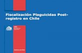 Fiscalización Plaguicidas Post- registro en Chile · Velar por el buen uso de los plaguicidas y fertilizantes en la agricultura nacional Objetivos Específicos 1. Registrar los plaguicidas