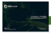 CONSULTORÍA - propulsar.compropulsar.com/Propulsar_Consultoria.pdf · enfocadas en la optimización de procesos internos y externos. Nuestro servicio incluye seguimiento para mitigar